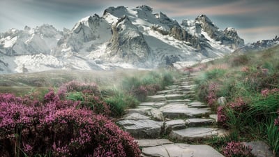 Isolation de toiture : comment choisir le bon matériau ?